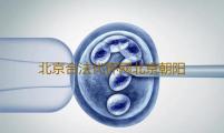 北京合法代怀网北京朝阳医院试管婴儿建档男方必须到场吗‘孕囊32x18x19是男是女’