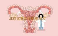 北京试管助孕机构,找女人代怀产子公司,试管婴儿包成功包生儿子供卵排队医院医院供卵试管