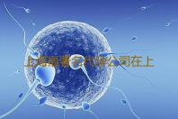 上海最著名代孕公司在上海同济医院做试管经历‘看四维单子看男女准吗’