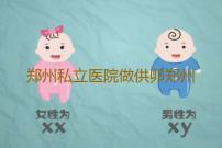郑州私立医院做供卵郑州三附院做试管多少钱‘代孕胎囊形状看男女’