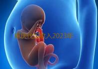重庆代妈收入2023年重庆哪家医院做试管婴儿好附重庆试管医院排名‘b超看男女生殖图’